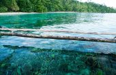 Yenanas Paradise Homestay, Yenbeser, Pulau Gam, Raja Ampat