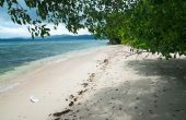 Warimpurem Homestay, Saporkren, Waigeo, Raja Ampat