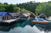 Saudori Homestay, Pulau Manyaifun, West Waigeo, Raja Ampat