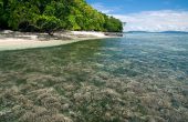 Yenaduak Homestay, Pulau Birie, Batanta, Raja Ampat
