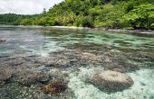 Yenaduak Homestay, Pulau Birie, Batanta, Raja Ampat