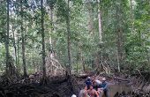 Raja Ampat liveaboard boat tours