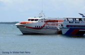 Birding in Raja Ampat