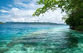 Nyandetor Homestay, Pulau Friwen, Raja Ampat