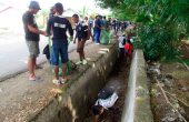 Marine plastic debris in Raja Ampat