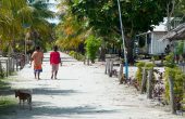 Raja Ampat entry fees
