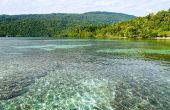 Dugong Homestay, Raspapir, Batanta, Raja Ampat