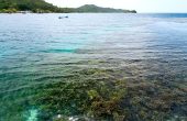 Sea Whip Homestay, Pulau Manyaifun, West Waigeo, Raja Ampat