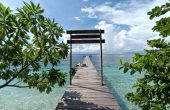 Warahnus Dive Homestay, Pulau Mansuar Kecil (Kri), Raja Ampat