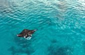 Raja Ampat Sunrise Homestay, Fam Islands, Raja Ampat