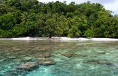 Biryei Homestay, Pulau Birie, Batanta, Raja Ampat