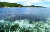 Subdikar Guest House, Pulau Manyaifun, West Waigeo, Raja Ampat