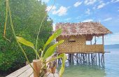 Arborek Dive Homestay, Pulau Arborek, Raja Ampat