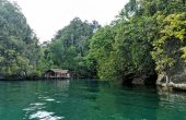 Feey Yef Homestay, Wawiyai, Waigeo, Raja Ampat
