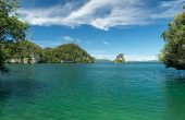 Feey Yef Homestay, Wawiyai, Waigeo, Raja Ampat