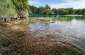 Rufas Homestay, Pulau Rufas, Pam Islands, Raja Ampat