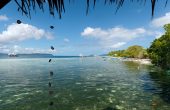 Raja Ampat Kalabia Homestay, Pulau Arborek, Raja Ampat