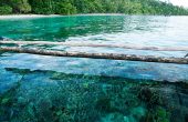 Yengkris Homestay, Pulau Gam, Raja Ampat