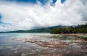 Marwes Homestay, Marandan Weser, Pulau Batanta, Raja Ampat