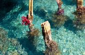 Erens Guest House, Sawandarek, Pulau Mansuar, Raja Ampat
