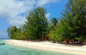 Mioskor Homestay, Pam (Fam) Islands, Raja Ampat