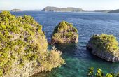 Lagoon Homestay, Batu Rufas, Pam Islands, Raja Ampat