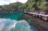 Lagoon Homestay, Batu Rufas, Pam Islands, Raja Ampat