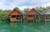 Lagoon Homestay, Batu Rufas, Pam Islands, Raja Ampat