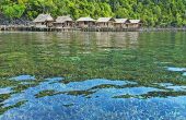 Gloria Homestay, Piaynemo, Fam Islands, Raja Ampat