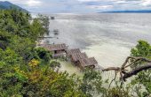 Junior Homestay, Pulau Kri, Raja Ampat