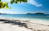 Raja Ampat Diva Homestay, Pulau Gam, Raja Ampat