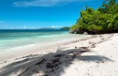 Raja Ampat Diva Homestay, Pulau Gam, Raja Ampat