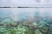 Fam Homestay, Fam Island, Raja Ampat