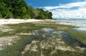 Karangkary Homestay, Pulau Waiweser, Batanta, Raja Ampat