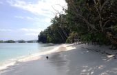 Coconut Homestay, Pulau Gam, Raja Ampat