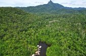 Saupon Mangrove Homestay, Waifoi, Mayalibit Bay, Waigeo, Raja Ampat