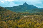 Saupon Mangrove Homestay, Waifoi, Mayalibit Bay, Waigeo, Raja Ampat