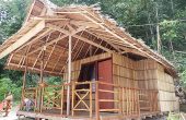 Wobbegong Homestay, Pulau Gam, Raja Ampat