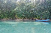 Kafdarun Homestay, Pulau Birie, Batanta, Raja Ampat