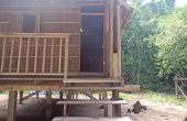 Kafdarun Homestay, Pulau Birie, Batanta, Raja Ampat