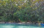Kafdarun Homestay, Pulau Birie, Batanta, Raja Ampat
