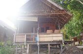 Moana Homestay, Sauwandarek, Pulau Mansuar, Raja Ampat
