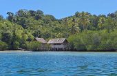 Sea Whip Homestay, Pulau Manyaifun, Raja Ampat