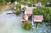Sea Whip Homestay, Pulau Manyaifun, Raja Ampat