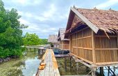 Senja Homestay, Pulau Pam, Raja Ampat