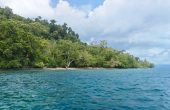 Tanjung Karang Homestay, Batanta, Raja Ampat
