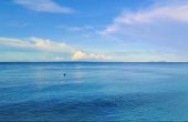 Tara Fudin Homestay, Pulau Pam, Raja Ampat