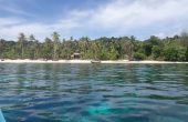 Tara Fudin Homestay, Pulau Pam, Raja Ampat