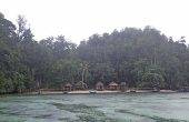Warfanin Homestay, Pulau Gam, Raja Ampat