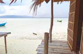 Blacktip Homestay, Pulau Ransiwor, Raja Ampat